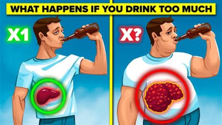 What happens if you bring too much alcohol into Canada?