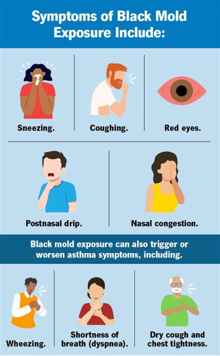 What happens if you inhale pink mold?