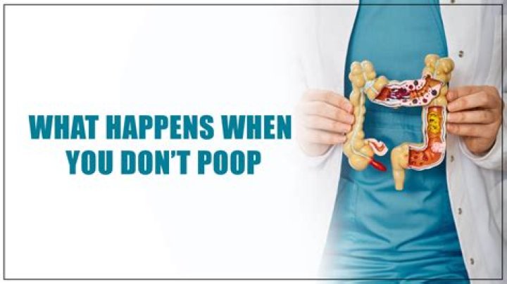 What happens if you scold a puppy?
