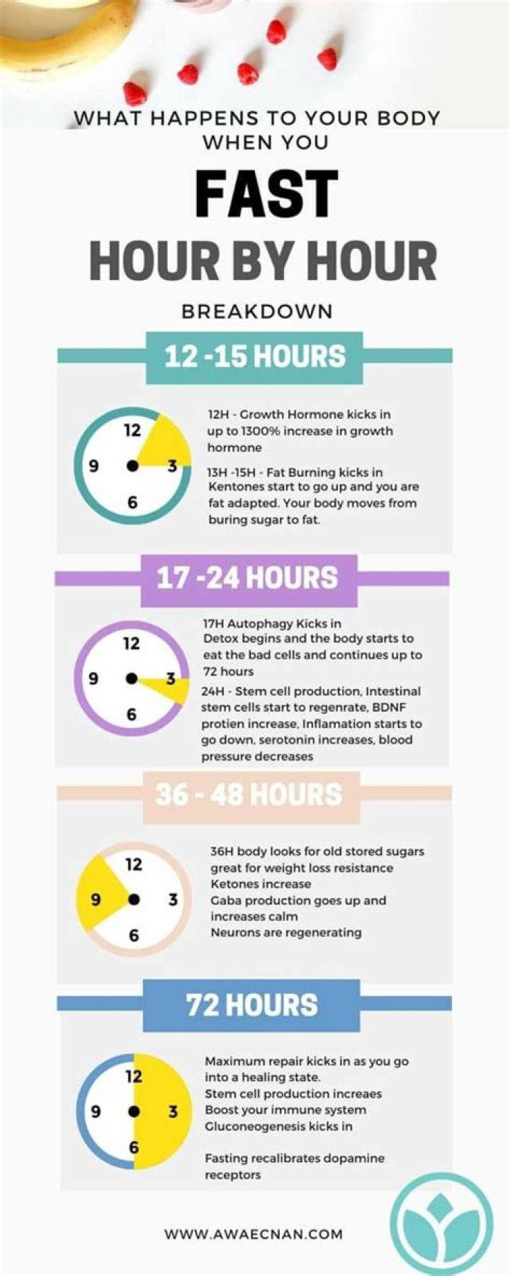 What happens to your body when you fast for 16 hours?