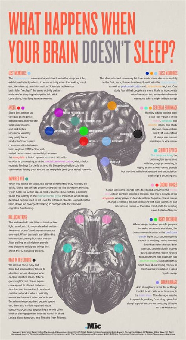 What happens to your brain when you itch?
