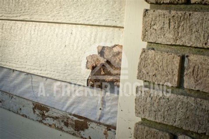 What happens when water gets behind brick?