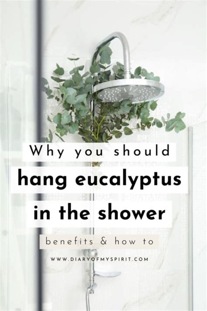 What happens when you hang eucalyptus in the shower?