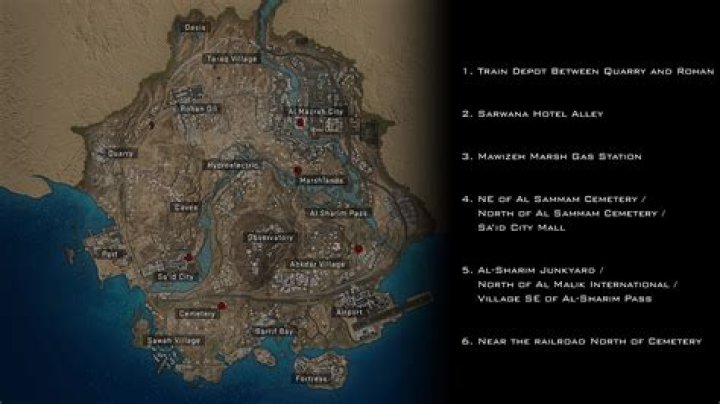 What if I find a dead roach in my house?