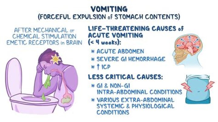 What if the victim vomits while you are doing CPR?