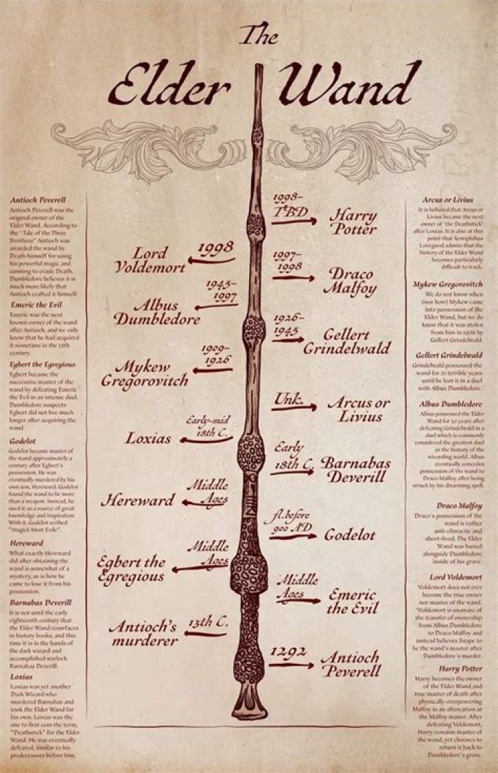 What if Voldemort had the elder wand?