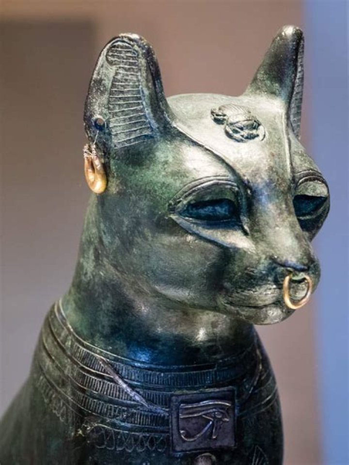 What is a black cat called in Egypt?