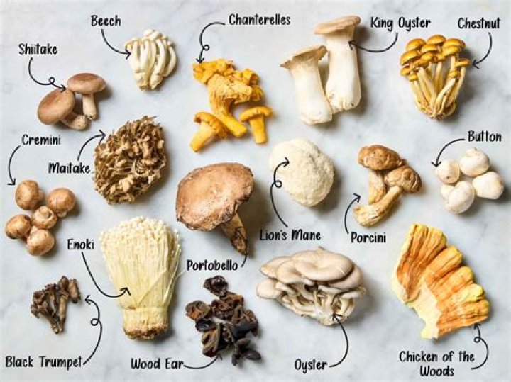 What is a mushroom ring?