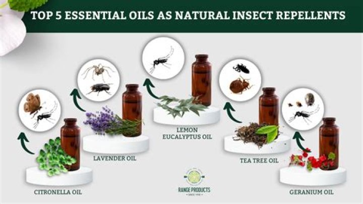 What is a natural fly deterrent?