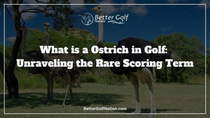 What is a ostrich in golf?