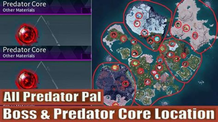 What is a predator to a bat?