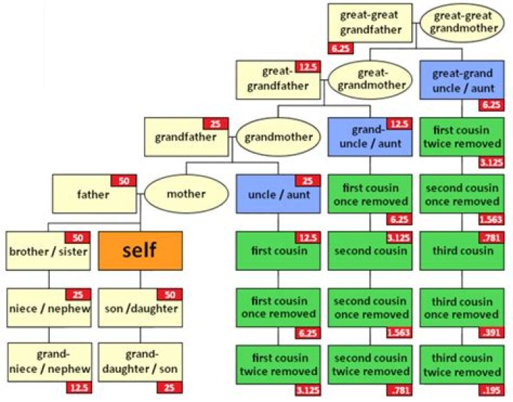 What is a removed cousin?