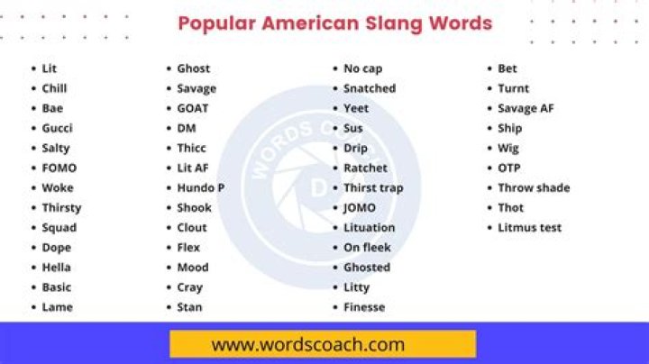 What is a slang word for snitch?