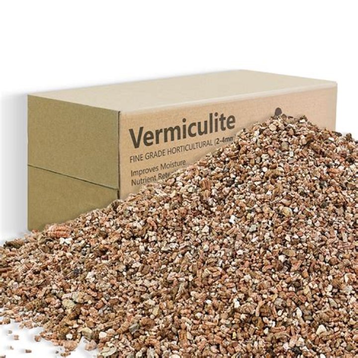 What is a substitute for vermiculite?