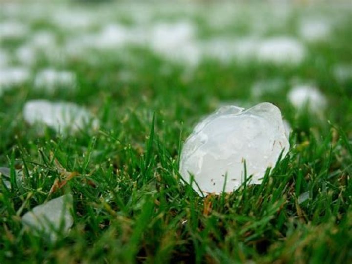 What is Agnes hailstones net worth?