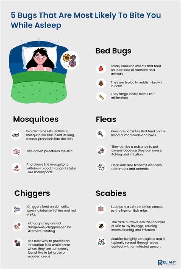 What is biting me while I sleep?