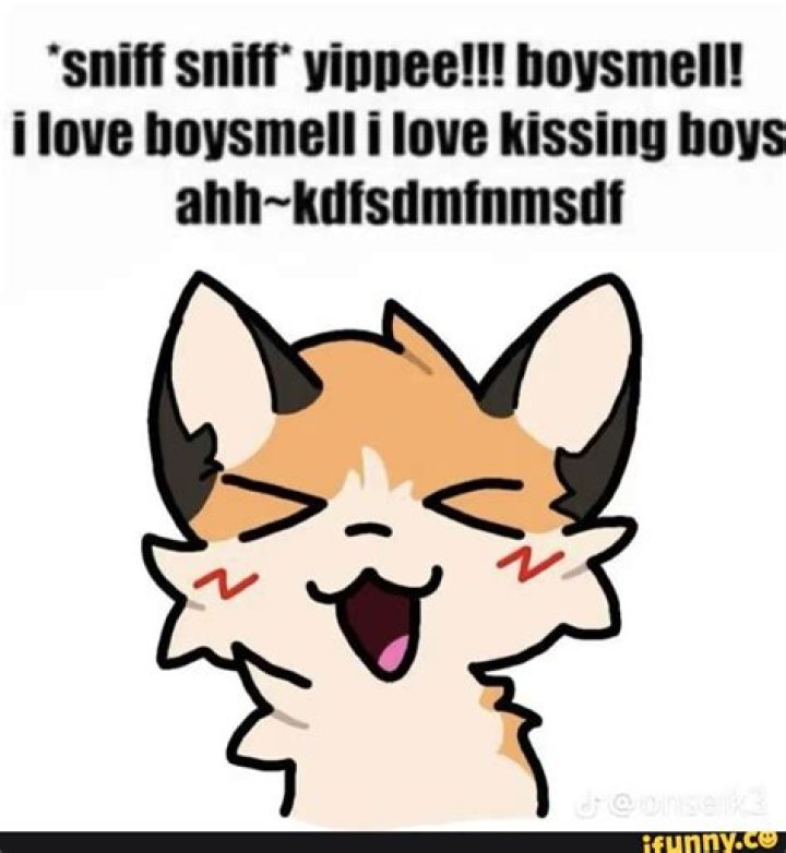 What is Boysmell?