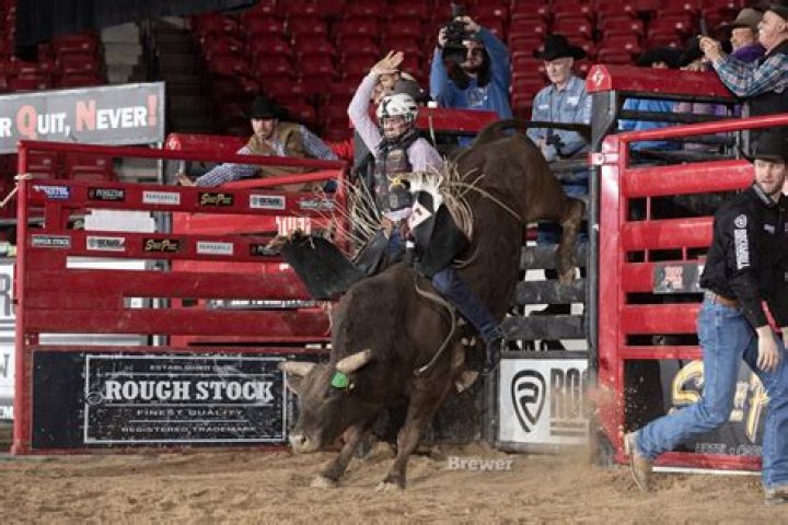 What is bucking in a car?