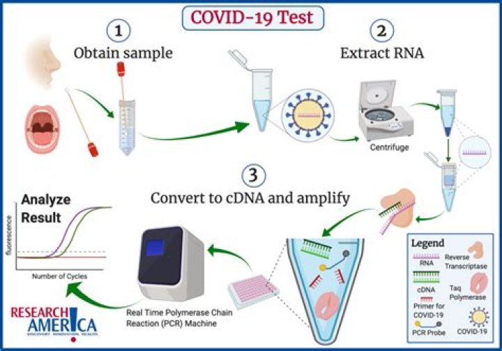 What is COVID-19 antibody test used for?