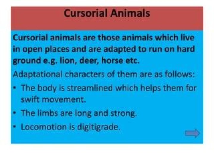 What is Cursorial locomotion?
