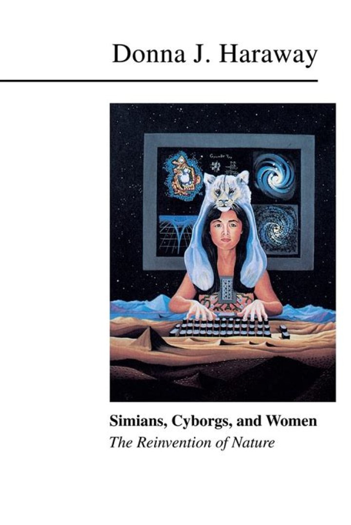 What is Donna Haraway's cyborg?