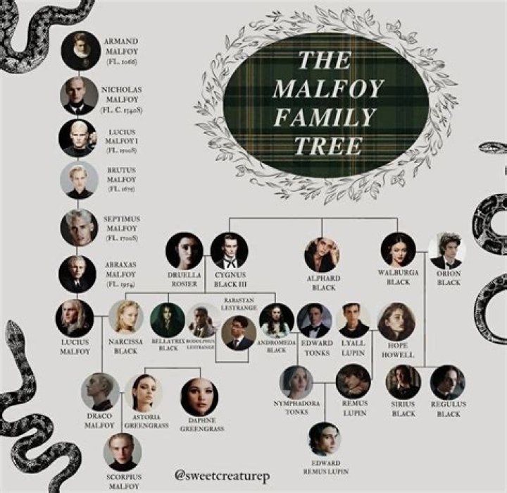 What is Draco Malfoy's middle name?
