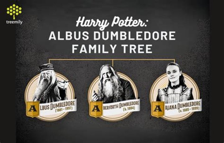 What is Dumbledore's salary?