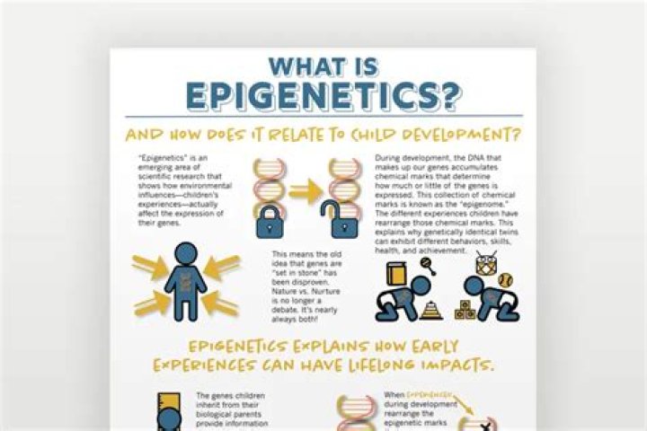 What is epigenesis and example?