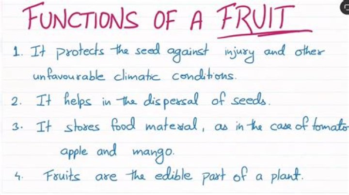 What is fruit ful function?
