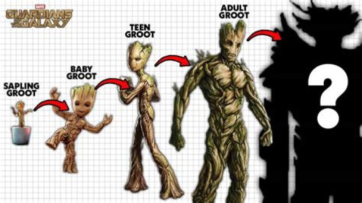 What is Groot's race?