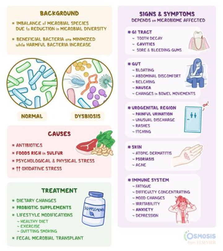 What is gut poisoning syndrome?