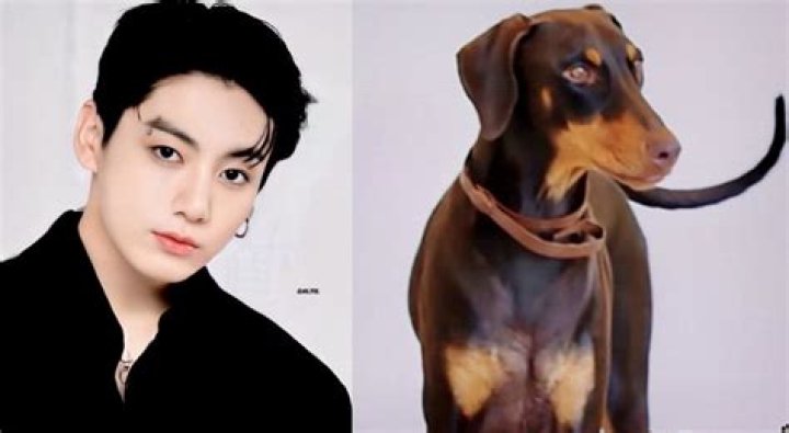 What is Jungkook's favorite animal?