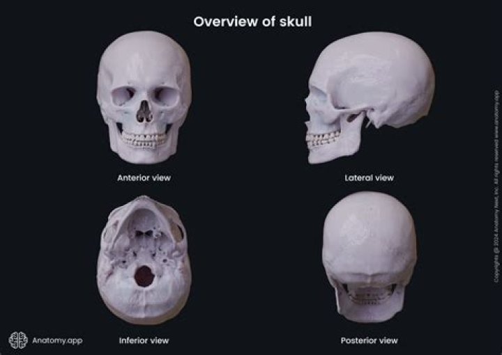 What is Marowak's skull?