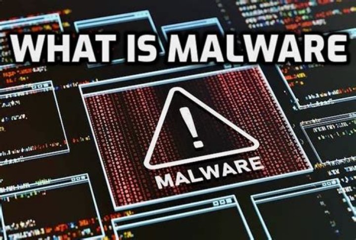 What is meant by malware forensics?