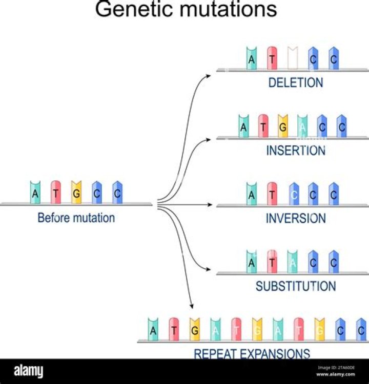 What is missense and nonsense mutation?