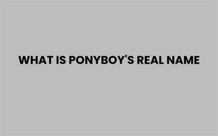 What is Ponyboy's real name?