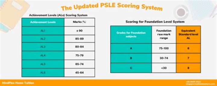 What is PSLE certificate?