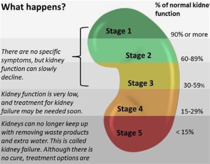 What is Stage 3 kidney failure?