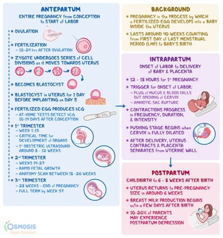 What is tested at 6 weeks postpartum?