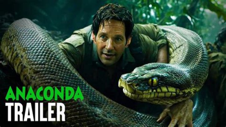 What is the anaconda submission?