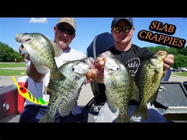What is the best artificial bait for crappie?