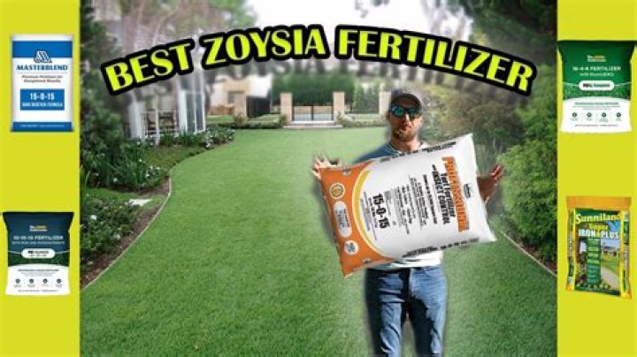 What is the best fertilizer for rose of Sharon?