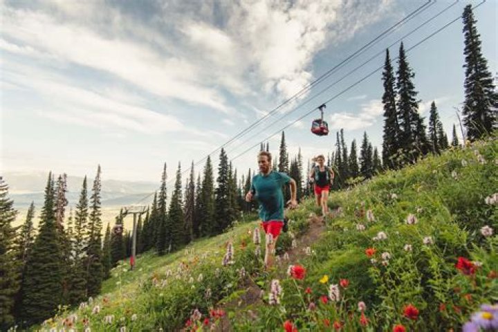 What is the best time to go for a walk?
