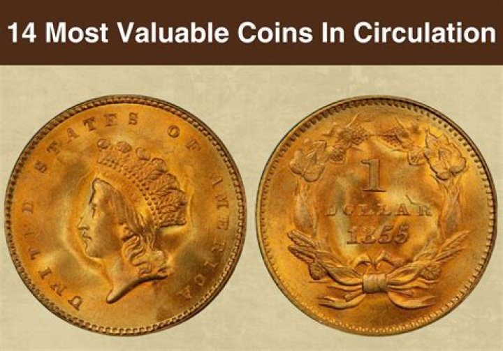 What is the Braavos coin?