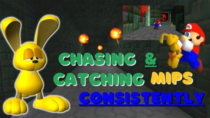 What is the bunny in the basement Mario 64?