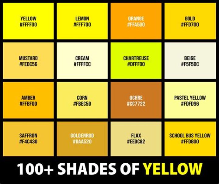 What is the code yellow?