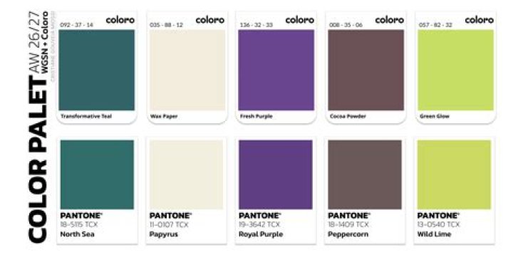 What is the color for 2027?