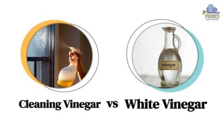 What is the difference between cleaning vinegar and regular vinegar?