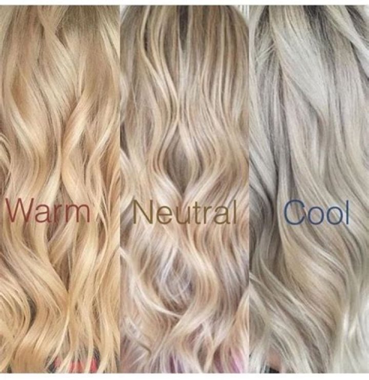 What is the difference between warm and neutral hair color?