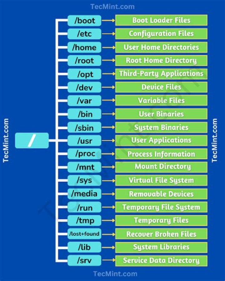 What is the first directory in Linux?